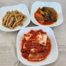 속초 왱왱 해물촌 후기
