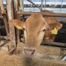 한우육가공농장 이미지