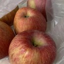 삼당농장 이미지