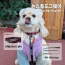 도그니엘 | 강아지 목줄·리드줄 추천 | 논스톱도그웨어 중형견 내돈내산 후기