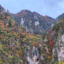 단풍 - 문경시 당교10길 17-3 | 단풍