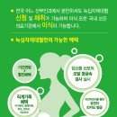 라이프라인 이미지