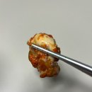 정아식품 | 굴겉절이 솔직후기 _ 신선한 제철 굴로 만든 밥도둑 여수 정아식품