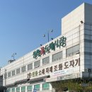 양재시장 | W10. 촬영용 생화 부케 셀프 제작 (양재 꽃시장 방문 후기, 꽃 컨디셔닝 방법, 촬영 후기)