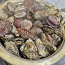 염색이야기(태안점) | 🌊 모즈 1박 2일 워크샵 후기