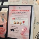 스타벅스 핑크 리유저블컵 선착순 이벤트 성공!!(스타벅스 부산대연역점)