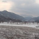 제일농장 이미지