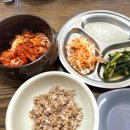 행복한칼국수 | 대부도 옛날 보리밥 삼색 칼국수 인생 맛집 등극! 행복한 후기!