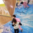 신나는머리나라 이미지