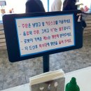 삼척 수제버거 오션테이블 | 삼척해수욕장 수제버거 맛집 오션테이블 방문 후기