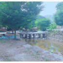 버들치휴게소