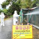 (주)플루엔
