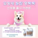 마이펫톡톡 전자신문
