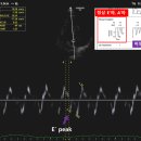 녹양돌봄동물병원 이미지