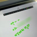 데이윰