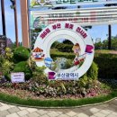 시민공원 남문 | 부산 시민공원 봄꽃 전시회 후기｜주말 나들이 추천 (이번 주 4월 26일까지)