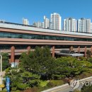 행정용 10 이미지