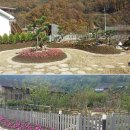 아름다운 정원을 꿈 이미지