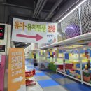 골든아쿠아펫 | (시흥 거북섬) 19개월 아기랑 주말불태우기, 점핑고 거북섬점 🔥