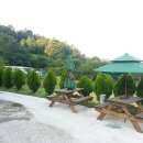 일산오골계참숯불구이 이미지