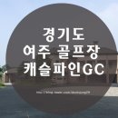 캐슬스크린골프장 네이버블로그