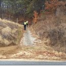 서주길(와룡면) 이미지