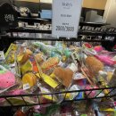 몰리스펫샵 센텀 이미지