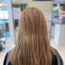 토리헤어 수송점 이미지