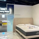 슬립랜드 이미지