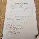 마요 펫 | 인천 송도 고양이 펫시터 30분케어후기 with 페르시안 요조,스코티쉬폴드 마요