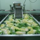 김치공장 이미지