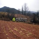 신구리농장 이미지