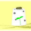 컵하우스 이미지