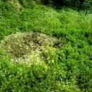 천사농장 이미지