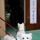 조양경로당 이미지