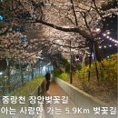 동대문구체육센터 | 중랑천 장안벚꽃길 주차 야간 실시간 구간별 서울 벚꽃길 추천