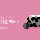 베스킨라빈스31마산내서점 이미지