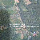 홍성/읍내5분 고요한 산속 농막용,쉼터용추천 190평 2600만 이미지