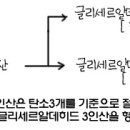 H4816 네이버블로그