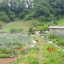 금봉산 농장 이미지