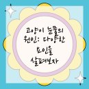 해운대 플러스동물병원 | 해운대동물병원에서 고양이 눈물 문제 쉽게 해결해보자!