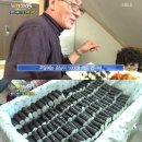 통영충무김밥 이미지