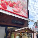 성심당 본점 대전에 빵 사러 새벽기차 타고 주말 오픈런 웨이팅후기 꿀팁