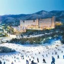 더화이트호텔(빌라동,테라스동) 이미지