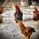 산골산장 이미지