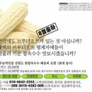 초당호프
