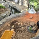 엘지전자(주) 아산지점 | 장영실과학관 다음 코스, 생태곤충원과 아산그린타워