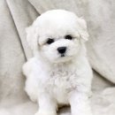 숨쉬는공간 이미지