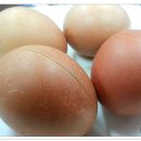 부송국수 - 진주시 월아산로 1089-8 | 부송국수