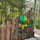 붉은오름자연휴양림 유아숲체험원 이미지